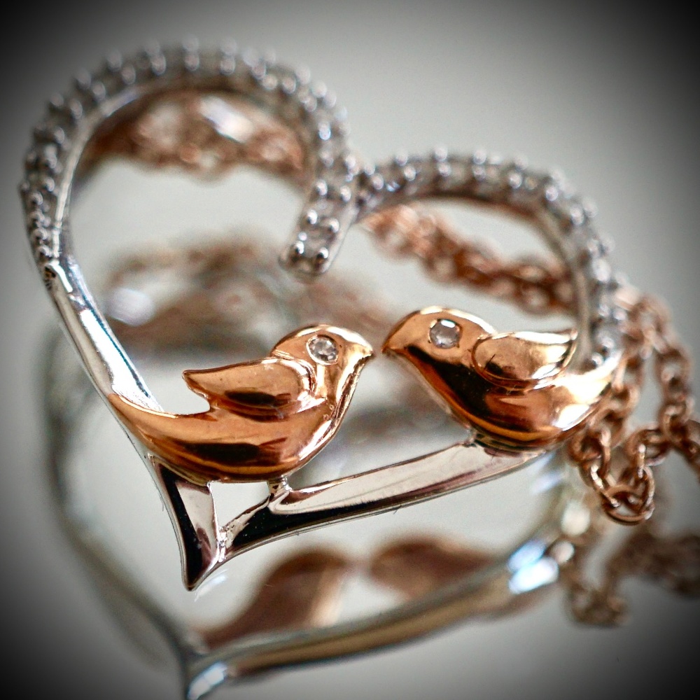 10kt White Gold Diamond Heart & Lovebird Necklace NWOT